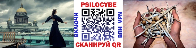 Псилоцибиновые грибы MAGIC MUSHROOMS  мега как зайти  Приволжский 